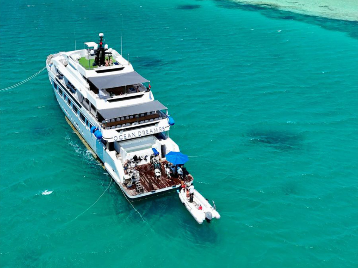 kite-safari-boat-ocean-dream-in-ashrafi group of people on the beach watching a kitesurfer jump. everyone is wearing a kite tribe tshirt